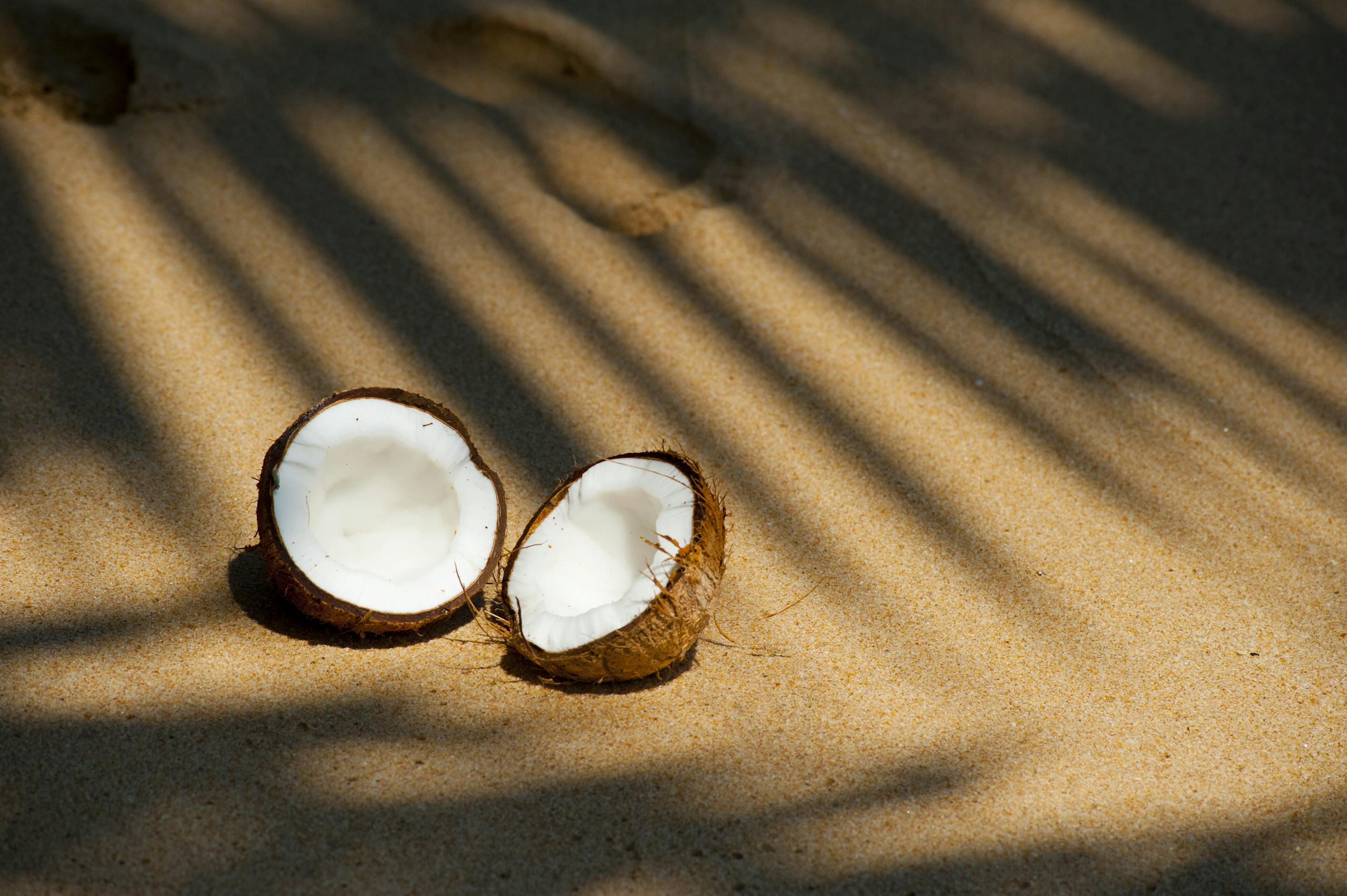 Coconut halves resting on a sunlit sandy beach, casting shadows from palm fronds.